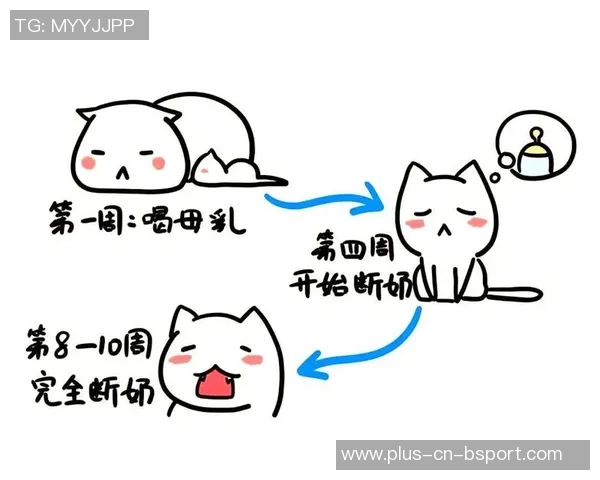 足球运动的魅力与风险并存探讨其潜在的危险性与安全措施